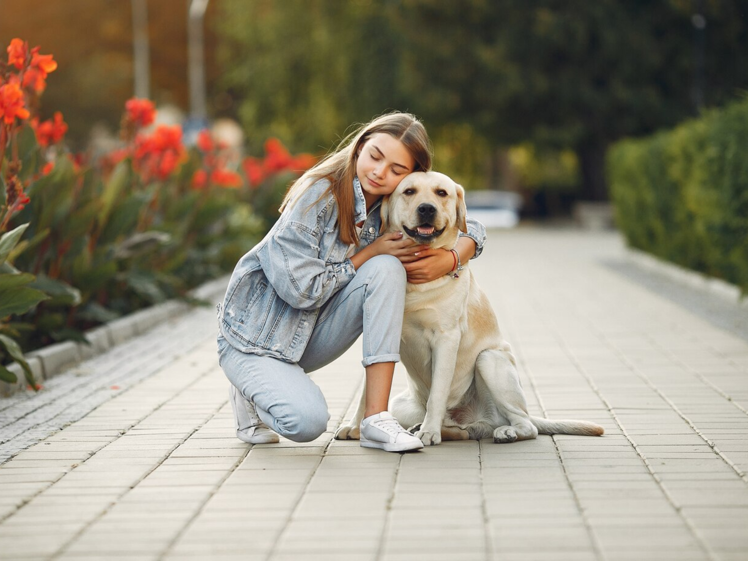 The Ultimate Guide to Choosing the Perfect Pet Bed